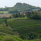 Collio goriziano: foto 02 di 9